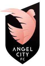 teamLogo